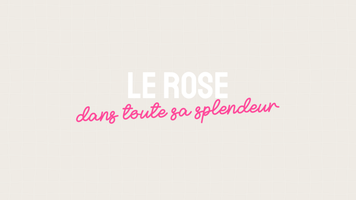 Le rose dans toute sa splendeur