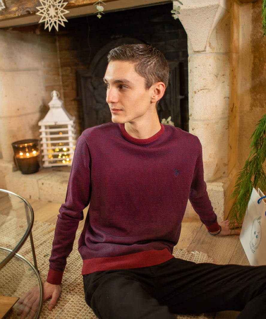 Pull n°917 - bordeaux - US POLO