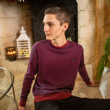 Pull n°917 - bordeaux - US POLO