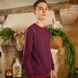 Pull n°917 - bordeaux - US POLO