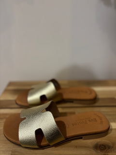 Image de diapositive