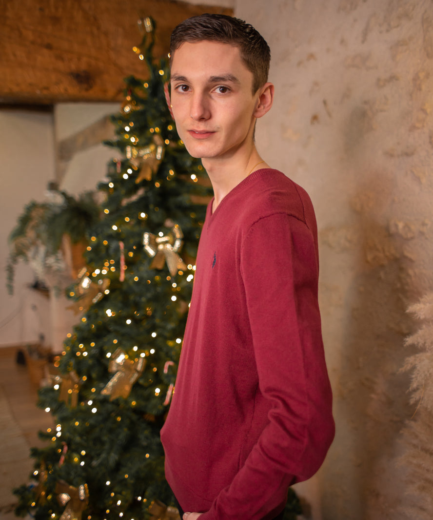 Pull n°907 - bordeaux - US POLO