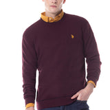 Pull n°359 - bordeaux - Us polo