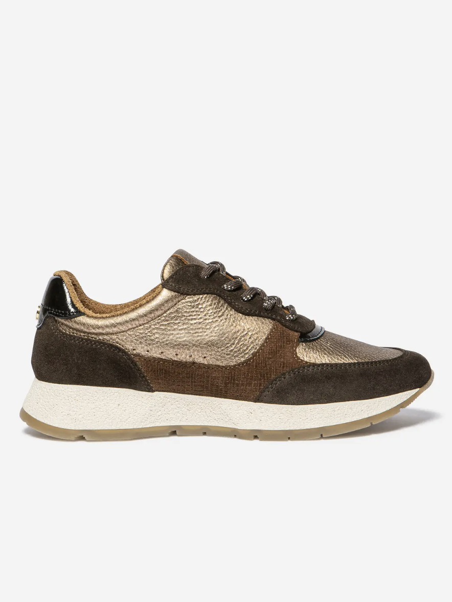 Tennis EULALIE TBS chocolat et bronze – vue de profil