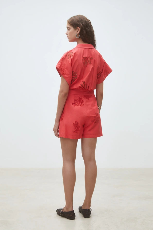 Image de diapositive