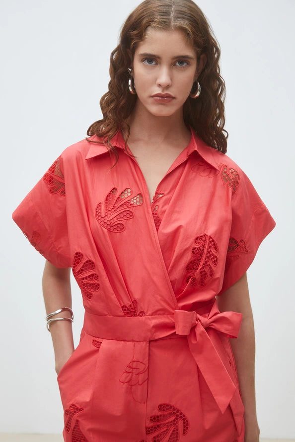 Image de diapositive