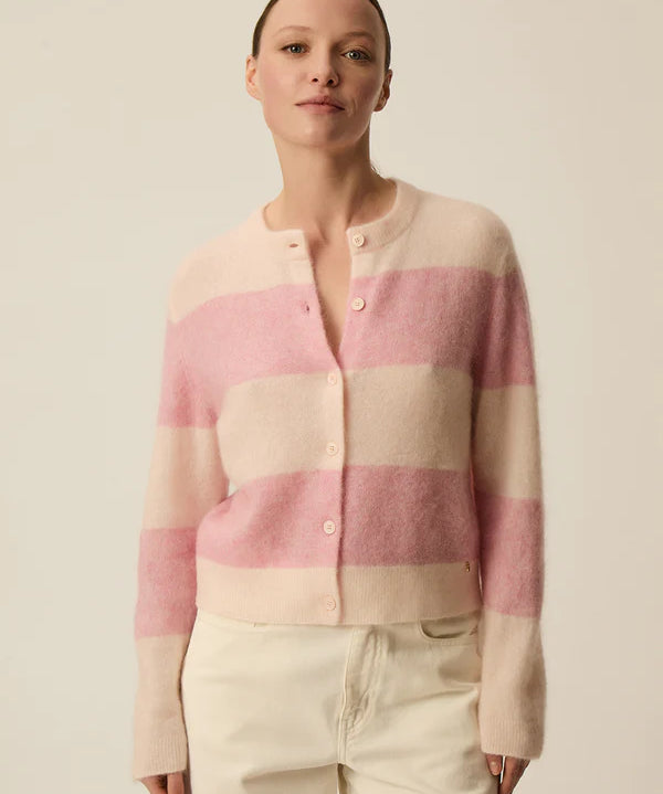 Image de diapositive