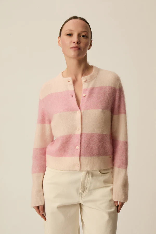 Image de diapositive