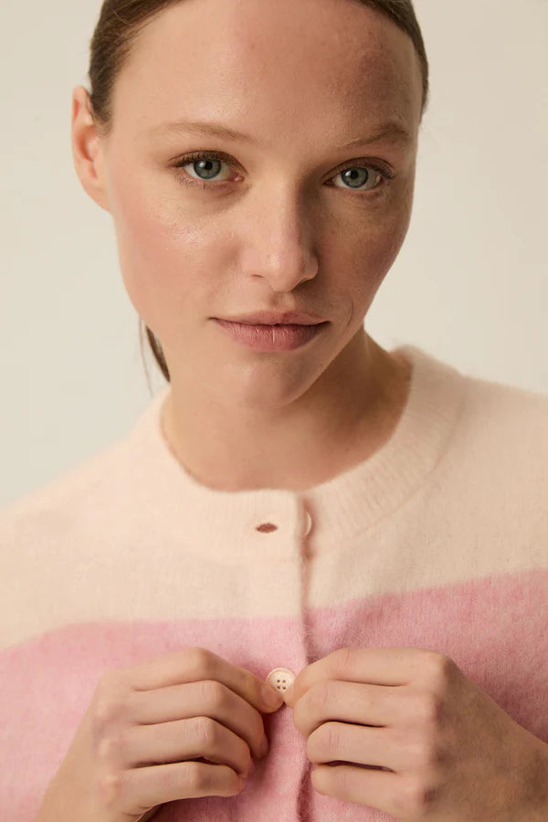 Image de diapositive