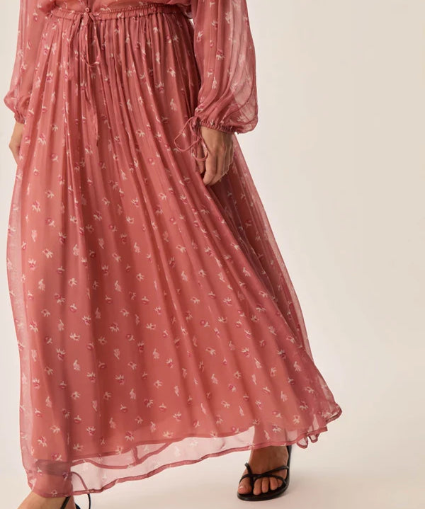 Image de diapositive