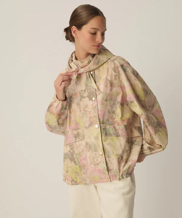 Image de diapositive