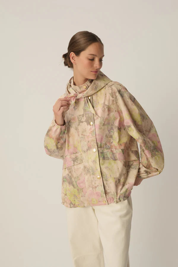 Image de diapositive