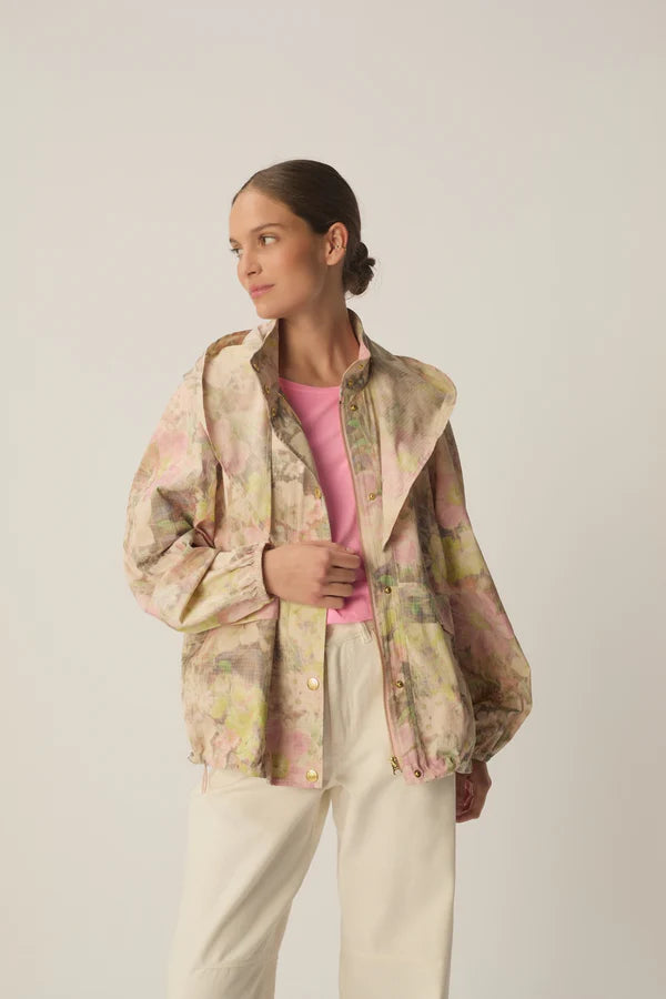 Image de diapositive