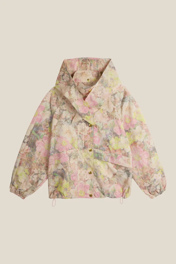 Image de diapositive