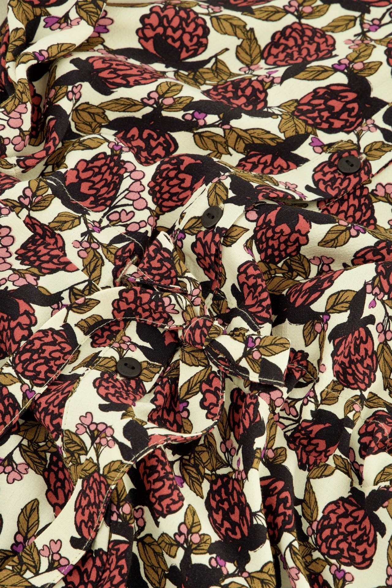 Image de diapositive