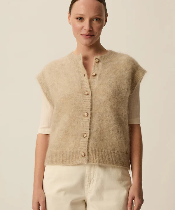 Image de diapositive