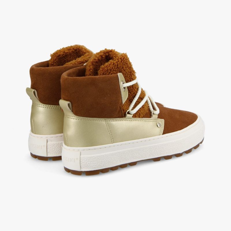 Image de diapositive