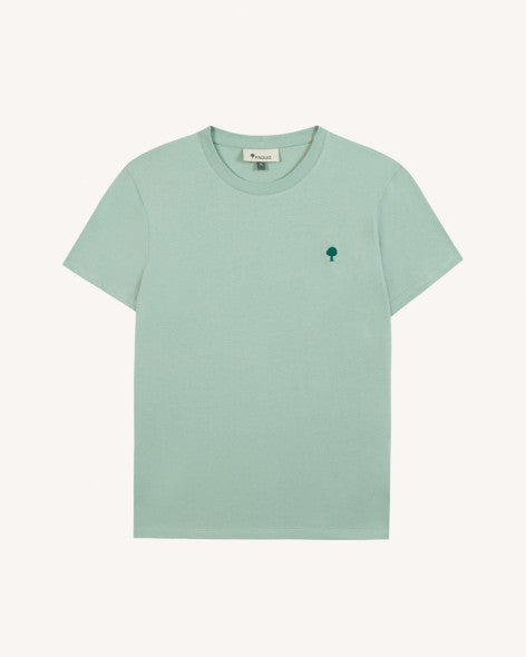 Image de diapositive