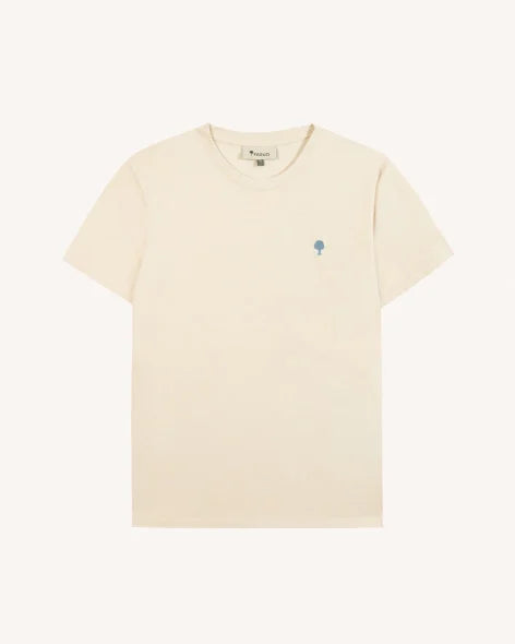 Image de diapositive