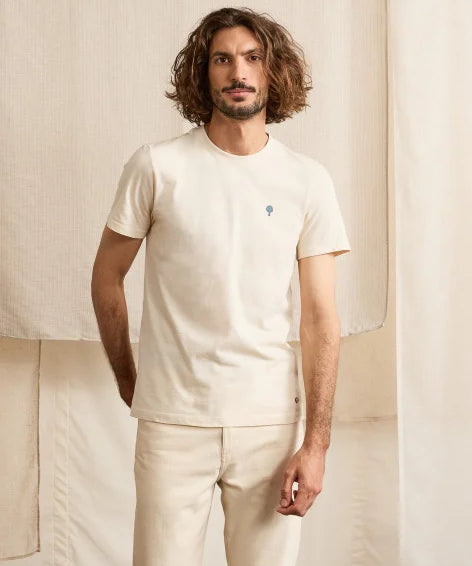 Image de diapositive