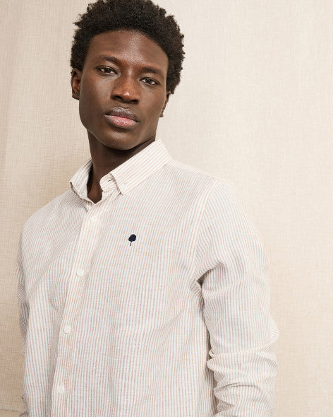 Image de diapositive