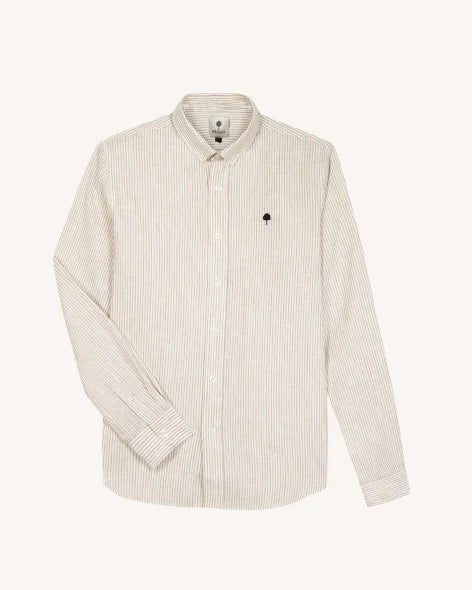 Image de diapositive