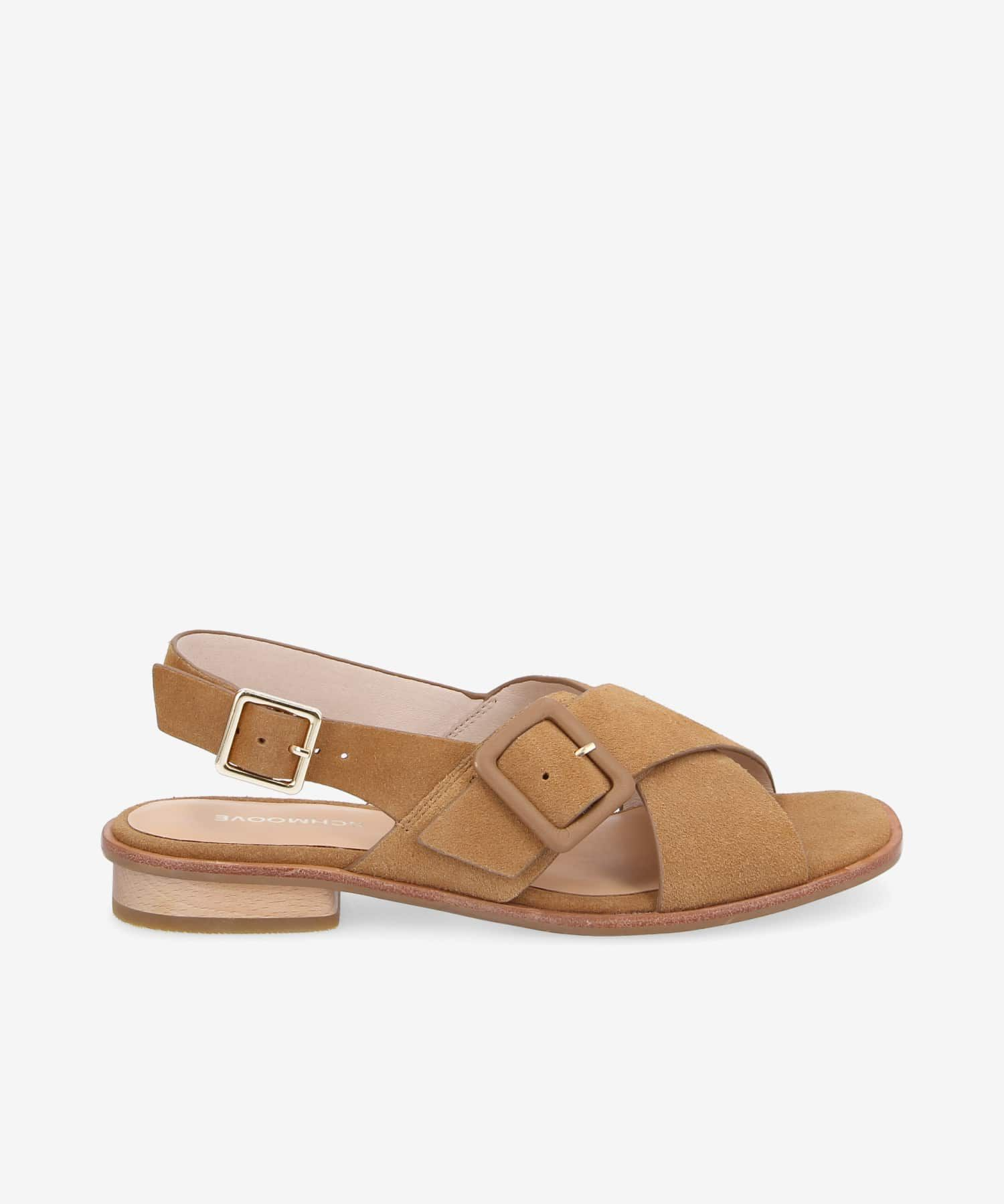 Image de diapositive