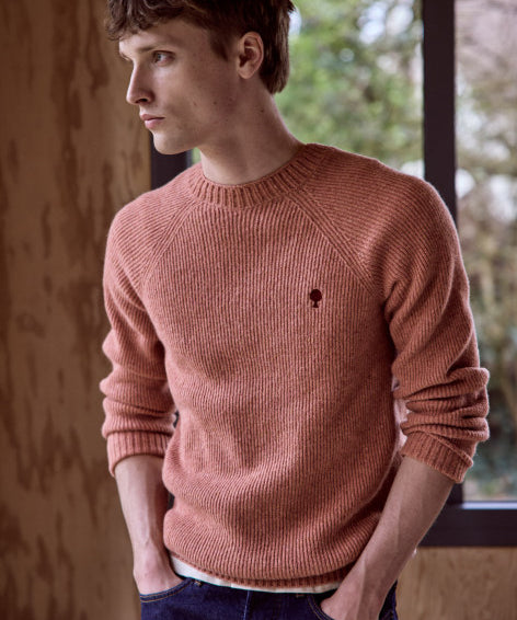 Pull en laine en homme Frehel - Rose clair - FAGUO HOMME