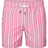 Short de bain rayés Reefway - Dusty Plum - PETROL INDUSTRIES HOMME