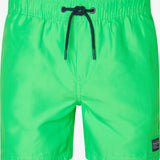 Short de bain Toucan - Citron vert - PETROL INDUSTRIES HOMME