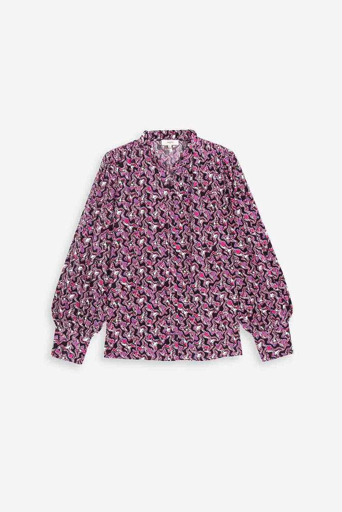 Image de diapositive