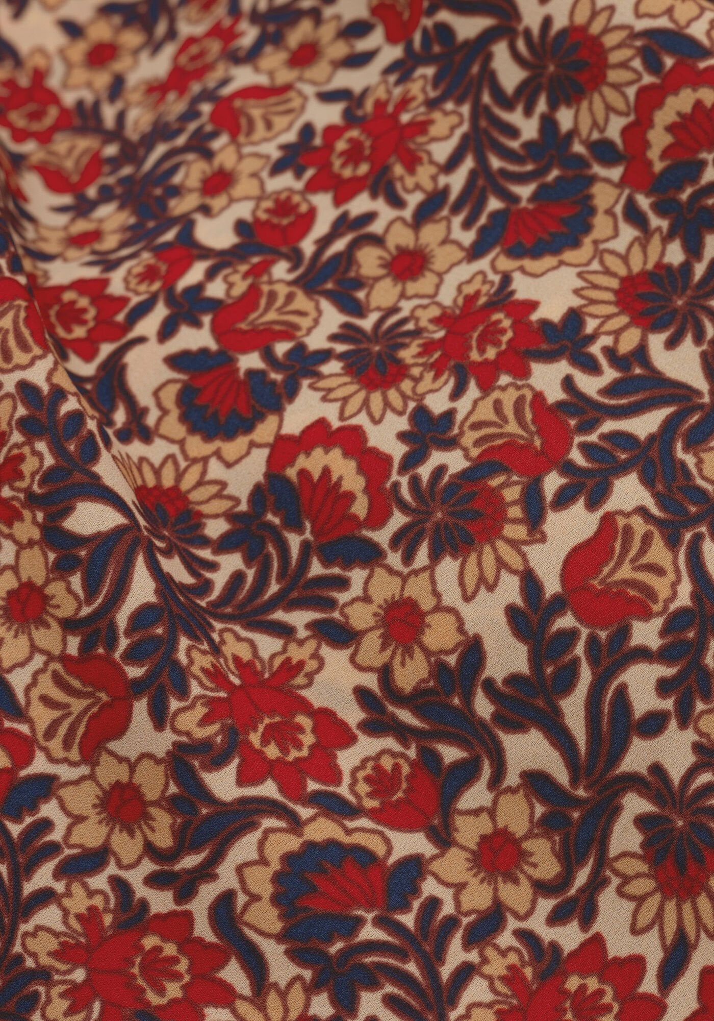 Image de diapositive