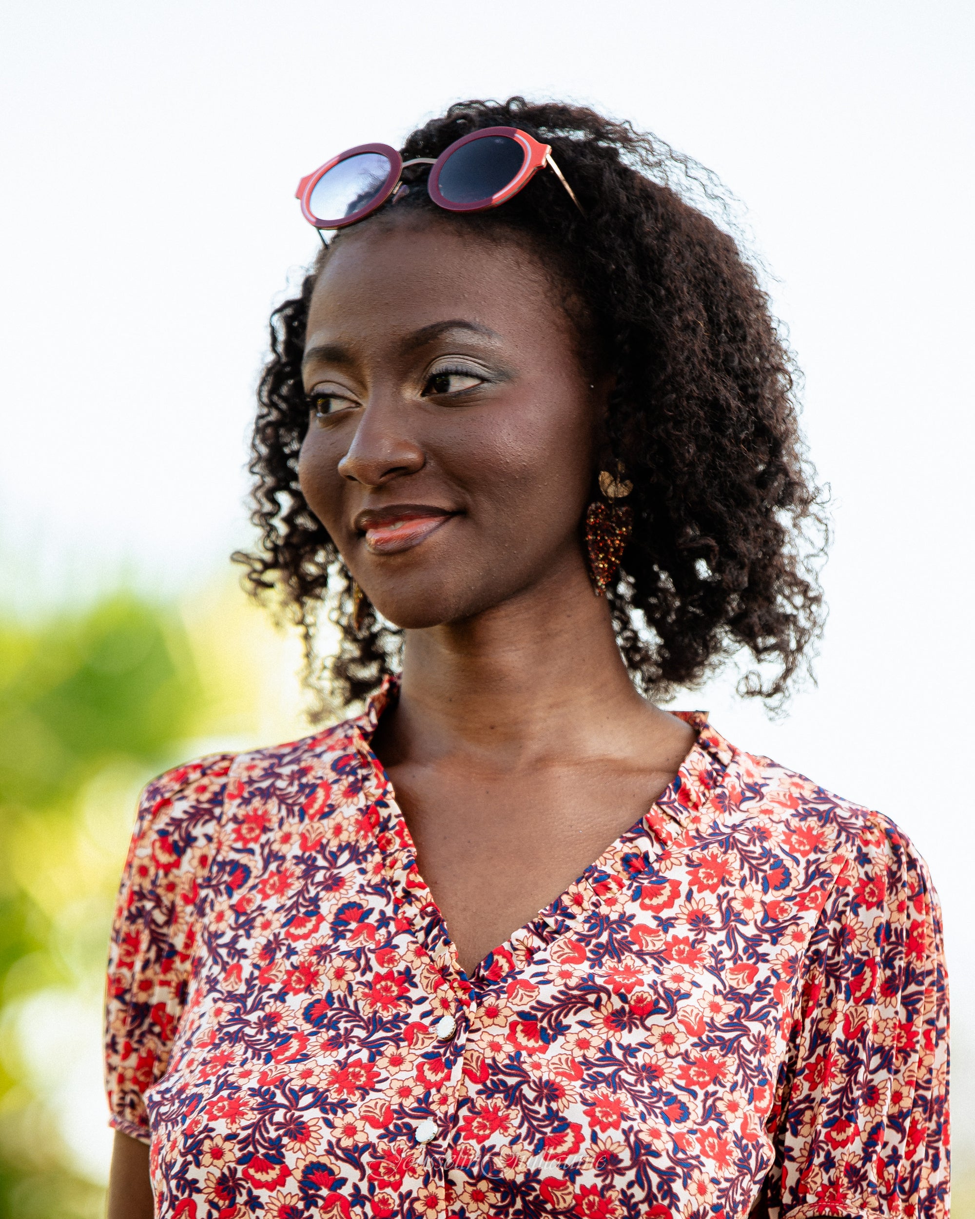 Image de diapositive