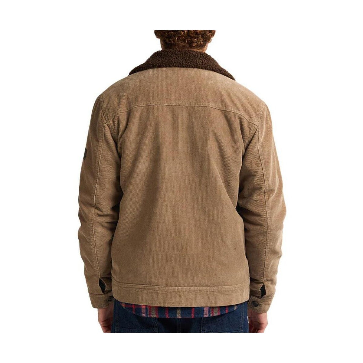 Veste matélassé homme - Tan - PETROL INDUSTRIES HOMME